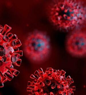 Covid-19 Research: Recent Findings of Novel Coronavirus