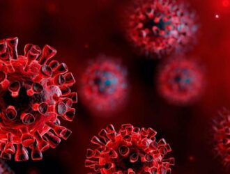 Covid-19 Research: Recent Findings of Novel Coronavirus