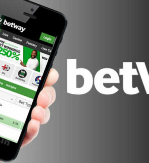 Betway Company